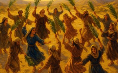 Reflections from Sukkot